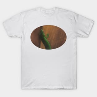 Day Gecko T-Shirt